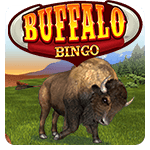 Buffalo