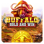 Buffalo Hold and Win