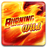 Burning Wild