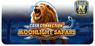 Cash Connection  Moonlight Safari