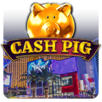 Cash Pig