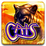 Cats old version