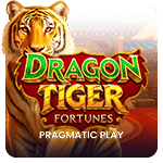 Dragon Tiger Fortunes