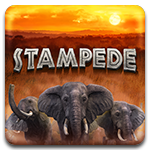 Estampida