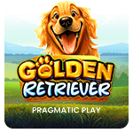 Golden Retriever by Pragmatic