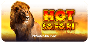 Hot Safari