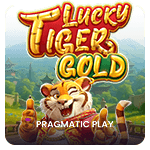 Lucky Tiger Gold