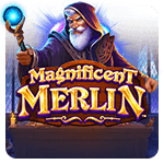 Magnificent Merlin