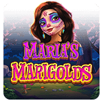 Marias Marigolds