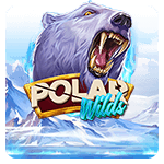 Polar Wilds