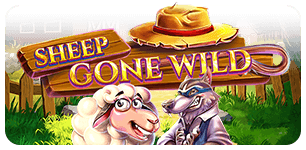 Sheep Gone Wild