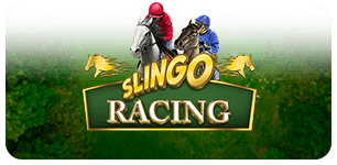 Slingo Racing