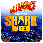 Slingo Shark Week