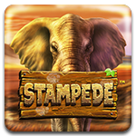 Stampede BS