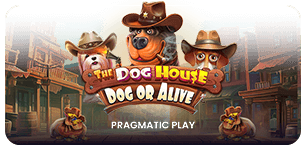 The Dog House Dog or Alive
