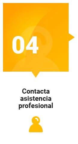 Asistencia profesional